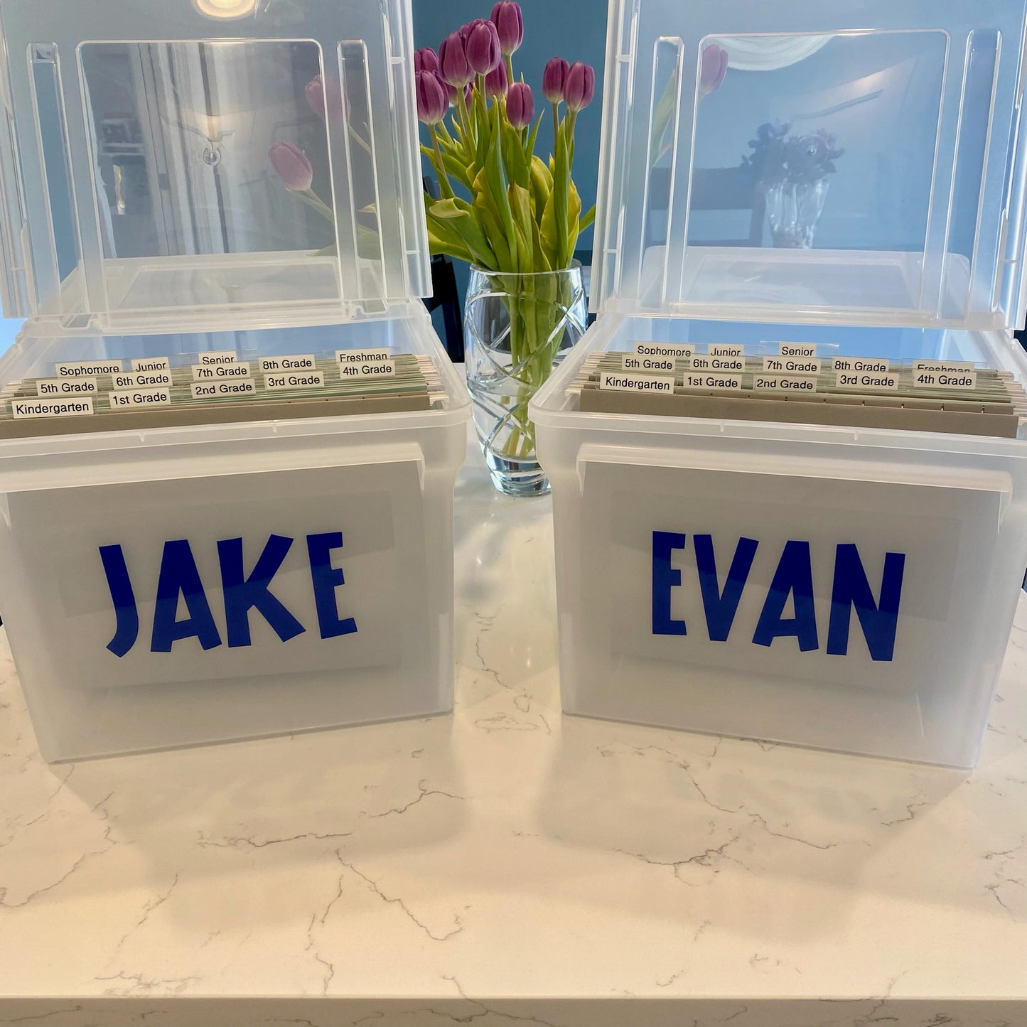 School Memory Box File Bin